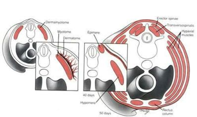 اضغط على الصورة لعرض أكبر. 

الإسم:	image.png 
مشاهدات:	1299 
الحجم:	122.6 كيلوبايت 
الهوية:	829070