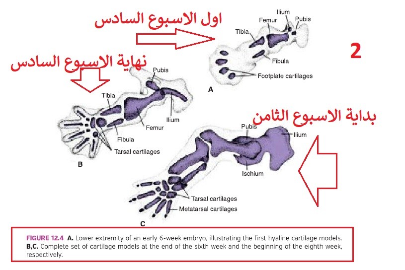 اضغط على الصورة لعرض أكبر. 

الإسم:	2.jpg 
مشاهدات:	147 
الحجم:	94.9 كيلوبايت 
الهوية:	830867