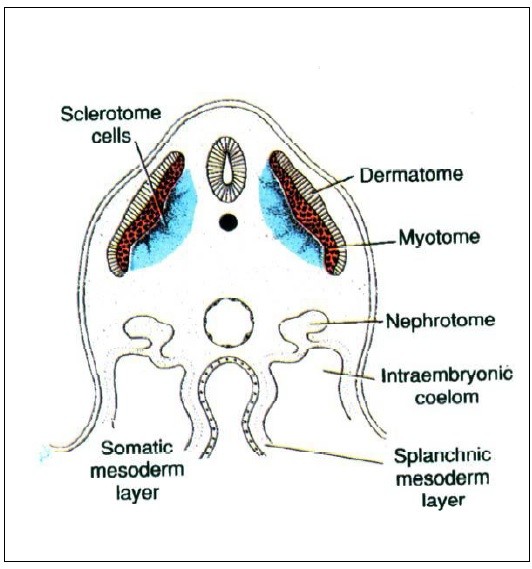 اضغط على الصورة لعرض أكبر. 

الإسم:	1.jpg 
مشاهدات:	79 
الحجم:	57.5 كيلوبايت 
الهوية:	831924