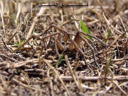اضغط على الصورة لعرض أكبر. 

الإسم:	opRsF.jpg 
مشاهدات:	26 
الحجم:	75.3 كيلوبايت 
الهوية:	832403
