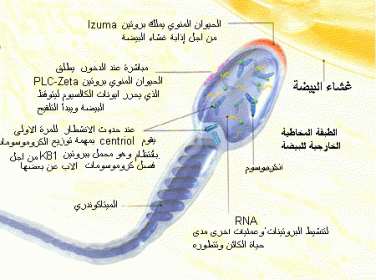 اضغط على الصورة لعرض أكبر. 

الإسم:	hwaml.com_1285243759_513.gif 
مشاهدات:	44 
الحجم:	39.0 كيلوبايت 
الهوية:	832433