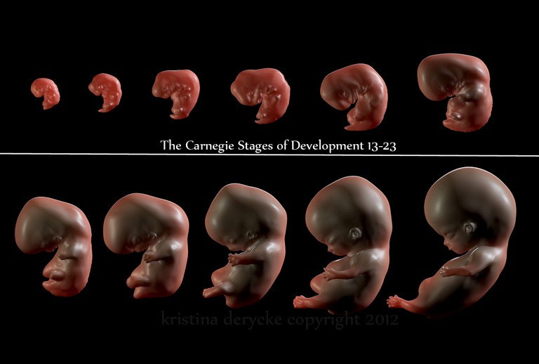 اضغط على الصورة لعرض أكبر. 

الإسم:	developmentderyckecopyright3.jpg 
مشاهدات:	132 
الحجم:	48.9 كيلوبايت 
الهوية:	832468