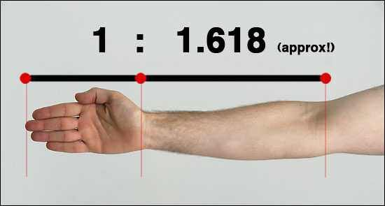 اضغط على الصورة لعرض أكبر. 

الإسم:	image.png 
مشاهدات:	69 
الحجم:	87.9 كيلوبايت 
الهوية:	837408