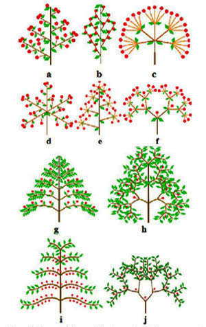 اضغط على الصورة لعرض أكبر.   الإسم:	image.png  مشاهدات:	2  الحجم:	198.5 كيلوبايت  الهوية:	837429