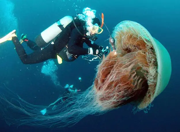 اضغط على الصورة لعرض أكبر.   الإسم:	image.png  مشاهدات:	3  الحجم:	371.6 كيلوبايت  الهوية:	837455