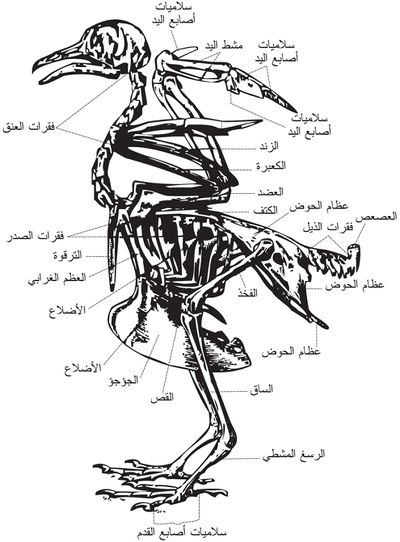 اضغط على الصورة لعرض أكبر. 

الإسم:	image.png 
مشاهدات:	175 
الحجم:	202.5 كيلوبايت 
الهوية:	837470