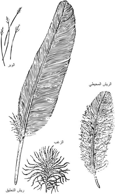 اضغط على الصورة لعرض أكبر. 

الإسم:	image.png 
مشاهدات:	177 
الحجم:	314.0 كيلوبايت 
الهوية:	837472