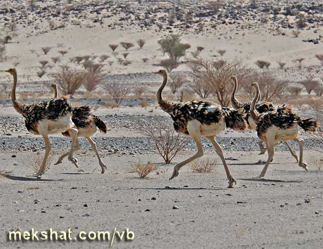 اضغط على الصورة لعرض أكبر. 

الإسم:	image.png 
مشاهدات:	179 
الحجم:	604.6 كيلوبايت 
الهوية:	837473