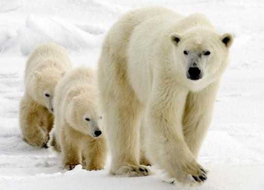 اضغط على الصورة لعرض أكبر. 

الإسم:	image.png 
مشاهدات:	190 
الحجم:	202.7 كيلوبايت 
الهوية:	837476