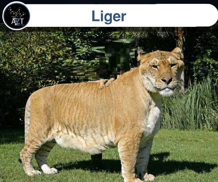 اضغط على الصورة لعرض أكبر. 

الإسم:	image.png 
مشاهدات:	200 
الحجم:	729.0 كيلوبايت 
الهوية:	837478