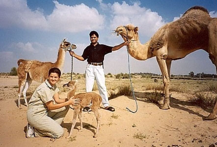 اضغط على الصورة لعرض أكبر. 

الإسم:	image.png 
مشاهدات:	186 
الحجم:	270.3 كيلوبايت 
الهوية:	837490