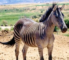 اضغط على الصورة لعرض أكبر. 

الإسم:	image.png 
مشاهدات:	178 
الحجم:	162.0 كيلوبايت 
الهوية:	837492