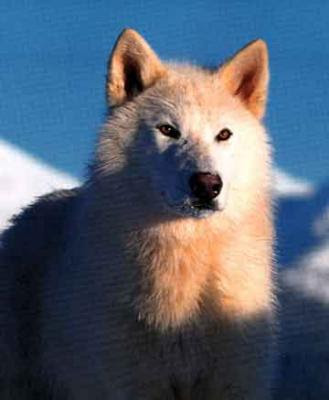 اضغط على الصورة لعرض أكبر.   الإسم:	image.png  مشاهدات:	0  الحجم:	157.0 كيلوبايت  الهوية:	837496