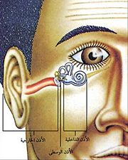 اضغط على الصورة لعرض أكبر.   الإسم:	image.png  مشاهدات:	0  الحجم:	93.4 كيلوبايت  الهوية:	837499