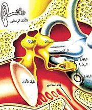 اضغط على الصورة لعرض أكبر.   الإسم:	image.png  مشاهدات:	0  الحجم:	99.9 كيلوبايت  الهوية:	837501