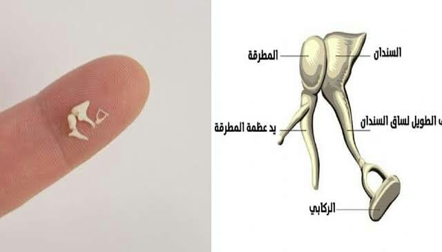 اضغط على الصورة لعرض أكبر. 

الإسم:	image.png 
مشاهدات:	201 
الحجم:	116.9 كيلوبايت 
الهوية:	837510