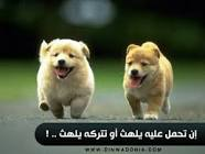 اضغط على الصورة لعرض أكبر. 

الإسم:	image.png 
مشاهدات:	215 
الحجم:	41.6 كيلوبايت 
الهوية:	837512