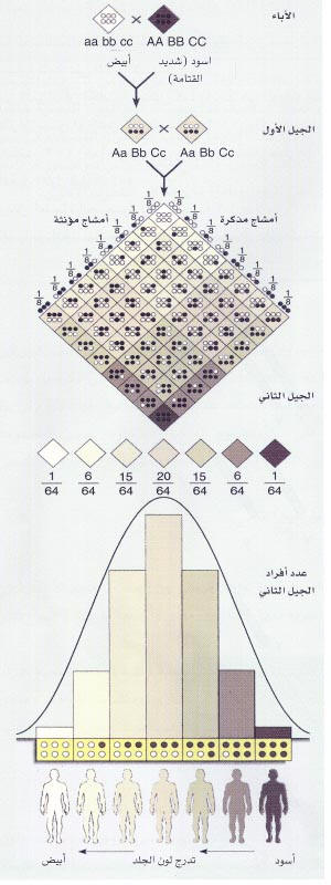 اضغط على الصورة لعرض أكبر. 

الإسم:	image.png 
مشاهدات:	217 
الحجم:	312.6 كيلوبايت 
الهوية:	837513