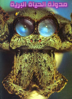 اضغط على الصورة لعرض أكبر.   الإسم:	image.png  مشاهدات:	0  الحجم:	162.8 كيلوبايت  الهوية:	837526