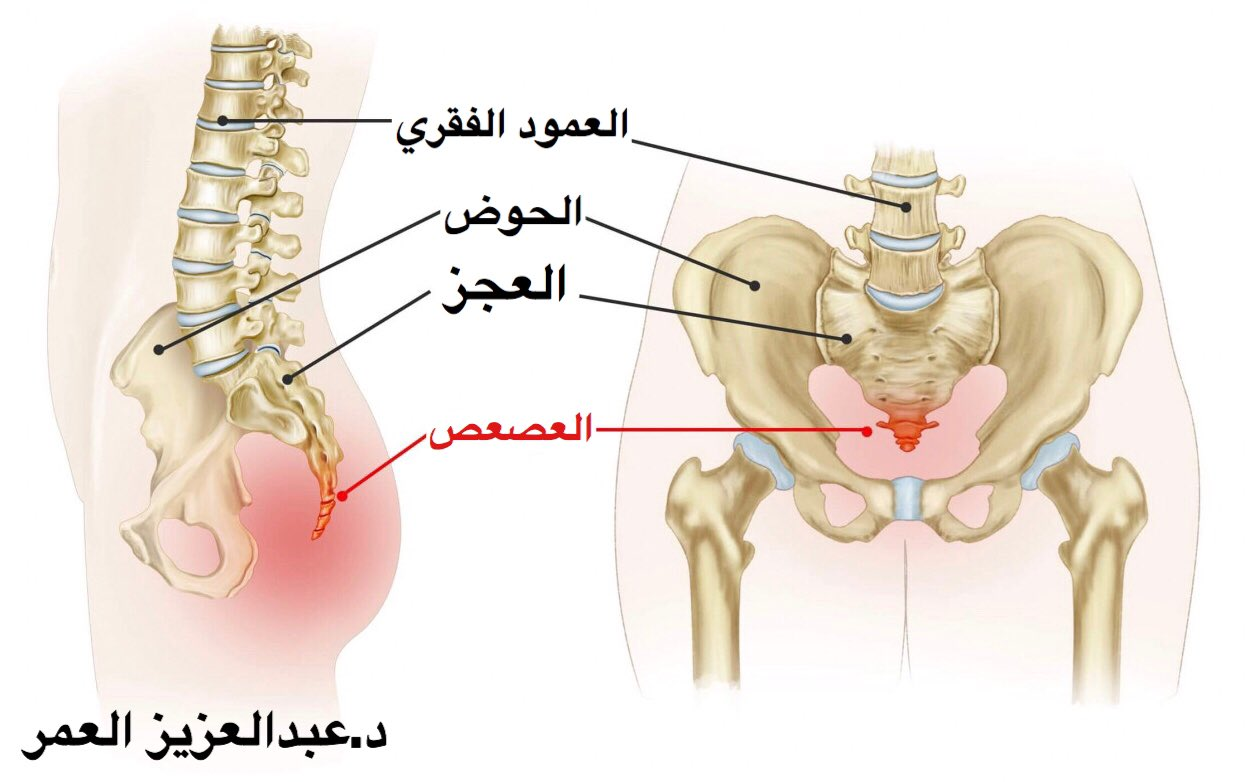 اضغط على الصورة لعرض أكبر.   الإسم:	image.png  مشاهدات:	0  الحجم:	680.5 كيلوبايت  الهوية:	837544