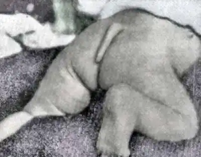 اضغط على الصورة لعرض أكبر.   الإسم:	image.png  مشاهدات:	3  الحجم:	168.8 كيلوبايت  الهوية:	837551