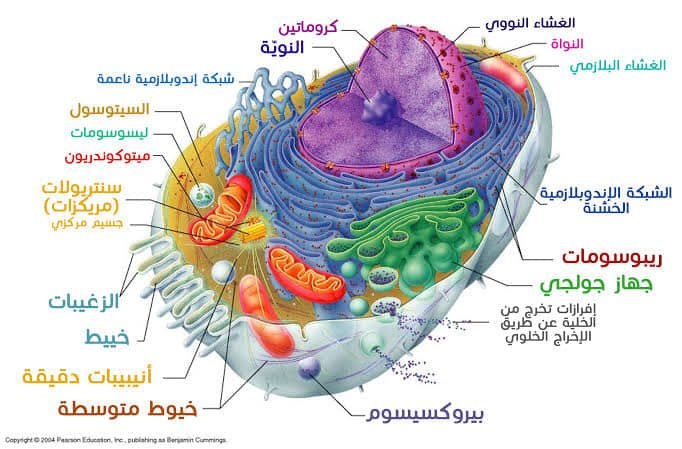 اضغط على الصورة لعرض أكبر.   الإسم:	image.png  مشاهدات:	2  الحجم:	440.9 كيلوبايت  الهوية:	837564