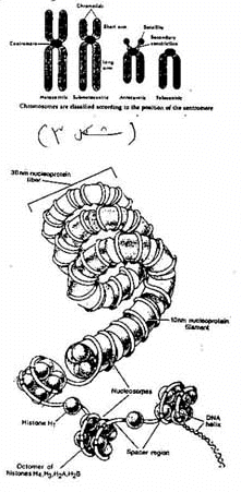 اضغط على الصورة لعرض أكبر.   الإسم:	image.png  مشاهدات:	2  الحجم:	63.6 كيلوبايت  الهوية:	837567