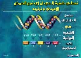 اضغط على الصورة لعرض أكبر.   الإسم:	image.png  مشاهدات:	0  الحجم:	98.5 كيلوبايت  الهوية:	837570