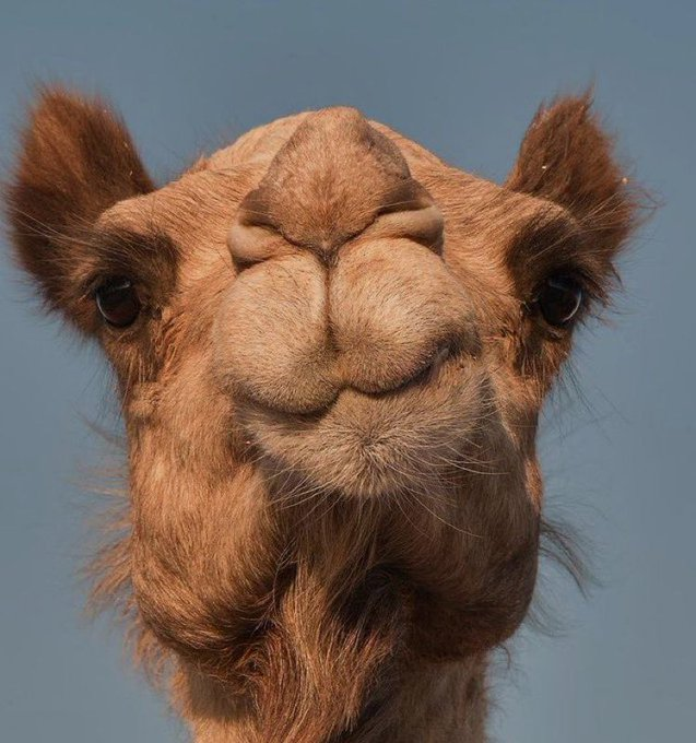 اضغط على الصورة لعرض أكبر.   الإسم:	image.png  مشاهدات:	1  الحجم:	609.0 كيلوبايت  الهوية:	837593