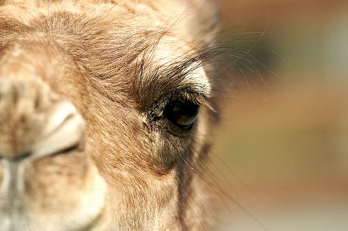 اضغط على الصورة لعرض أكبر.   الإسم:	image.png  مشاهدات:	1  الحجم:	272.0 كيلوبايت  الهوية:	837595