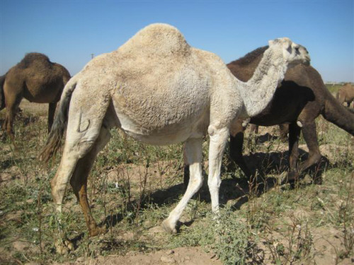 اضغط على الصورة لعرض أكبر.   الإسم:	image.png  مشاهدات:	1  الحجم:	361.6 كيلوبايت  الهوية:	837599