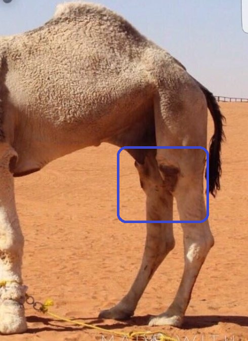 اضغط على الصورة لعرض أكبر.   الإسم:	image.png  مشاهدات:	1  الحجم:	442.6 كيلوبايت  الهوية:	837602