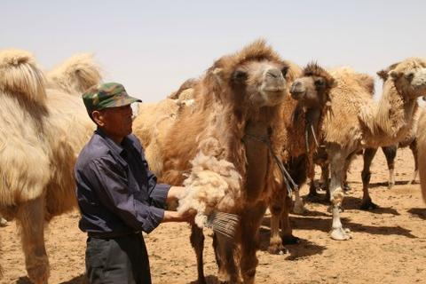 اضغط على الصورة لعرض أكبر.   الإسم:	image.png  مشاهدات:	1  الحجم:	251.7 كيلوبايت  الهوية:	837603