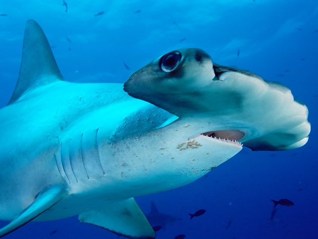 اضغط على الصورة لعرض أكبر.   الإسم:	image.png  مشاهدات:	0  الحجم:	345.0 كيلوبايت  الهوية:	837610