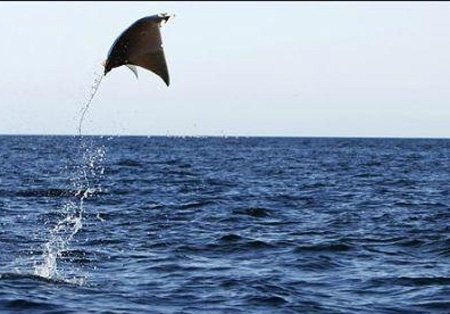 اضغط على الصورة لعرض أكبر.   الإسم:	image.png  مشاهدات:	0  الحجم:	197.1 كيلوبايت  الهوية:	837618