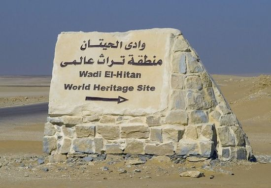 اضغط على الصورة لعرض أكبر.   الإسم:	image.png  مشاهدات:	0  الحجم:	309.2 كيلوبايت  الهوية:	837623