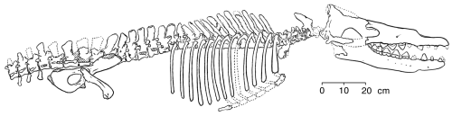 اضغط على الصورة لعرض أكبر.   الإسم:	image.png  مشاهدات:	3  الحجم:	54.8 كيلوبايت  الهوية:	837629