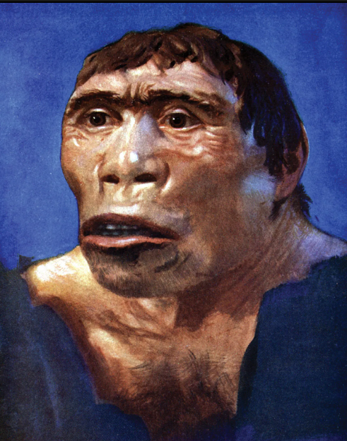 اضغط على الصورة لعرض أكبر.   الإسم:	image.png  مشاهدات:	0  الحجم:	593.6 كيلوبايت  الهوية:	837644