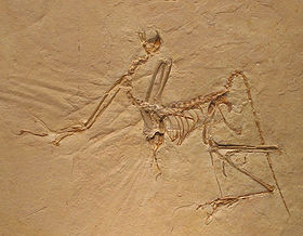 اضغط على الصورة لعرض أكبر.   الإسم:	image.png  مشاهدات:	0  الحجم:	120.6 كيلوبايت  الهوية:	837649
