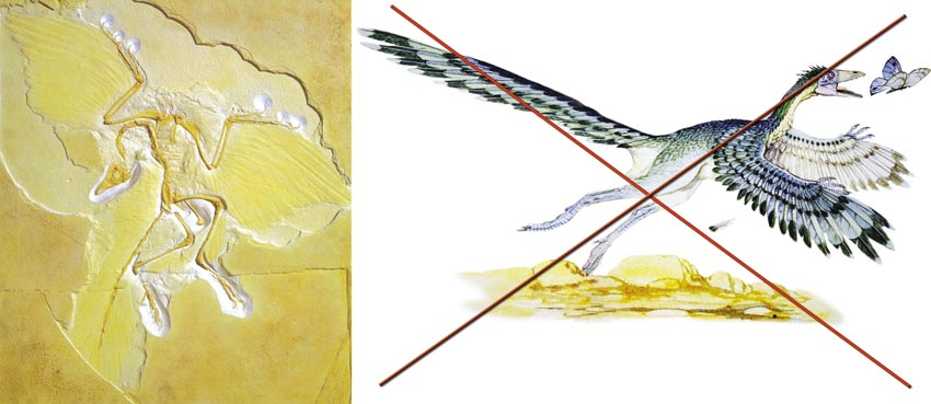 اضغط على الصورة لعرض أكبر.   الإسم:	image.png  مشاهدات:	2  الحجم:	417.6 كيلوبايت  الهوية:	837652