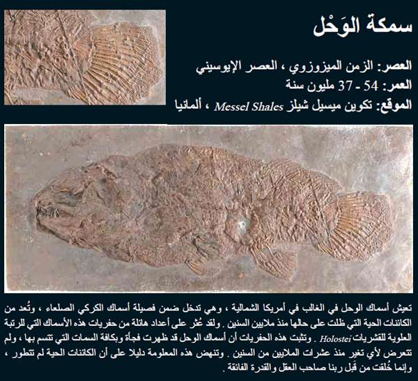 اضغط على الصورة لعرض أكبر.   الإسم:	image.png  مشاهدات:	165  الحجم:	535.0 كيلوبايت  الهوية:	837798