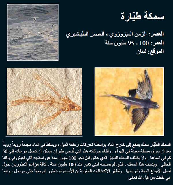 اضغط على الصورة لعرض أكبر. 

الإسم:	image.png 
مشاهدات:	242 
الحجم:	523.1 كيلوبايت 
الهوية:	837802