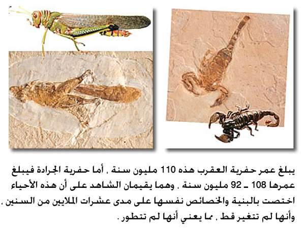 اضغط على الصورة لعرض أكبر. 

الإسم:	image.png 
مشاهدات:	354 
الحجم:	331.8 كيلوبايت 
الهوية:	837805