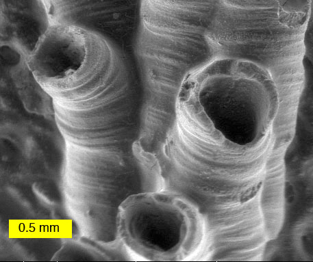 اضغط على الصورة لعرض أكبر.   الإسم:	image.png  مشاهدات:	0  الحجم:	166.0 كيلوبايت  الهوية:	837879