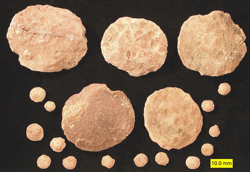 اضغط على الصورة لعرض أكبر. 

الإسم:	image.png 
مشاهدات:	49 
الحجم:	896.4 كيلوبايت 
الهوية:	837840