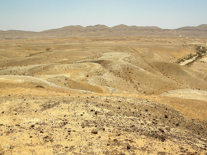 اضغط على الصورة لعرض أكبر. 

الإسم:	image.png 
مشاهدات:	82 
الحجم:	1.01 ميجابايت 
الهوية:	837854