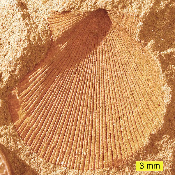 اضغط على الصورة لعرض أكبر. 

الإسم:	image.png 
مشاهدات:	86 
الحجم:	1,003.2 كيلوبايت 
الهوية:	837871