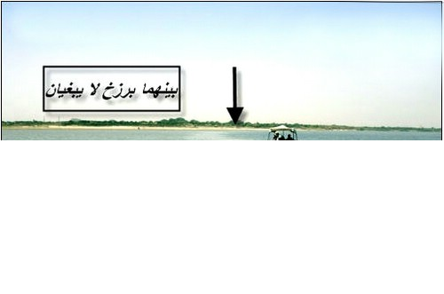 اضغط على الصورة لعرض أكبر. 

الإسم:	image.png 
مشاهدات:	35 
الحجم:	74.8 كيلوبايت 
الهوية:	839292