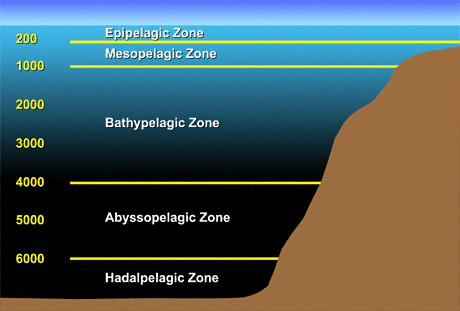اضغط على الصورة لعرض أكبر. 

الإسم:	image.png 
مشاهدات:	19 
الحجم:	61.5 كيلوبايت 
الهوية:	839304