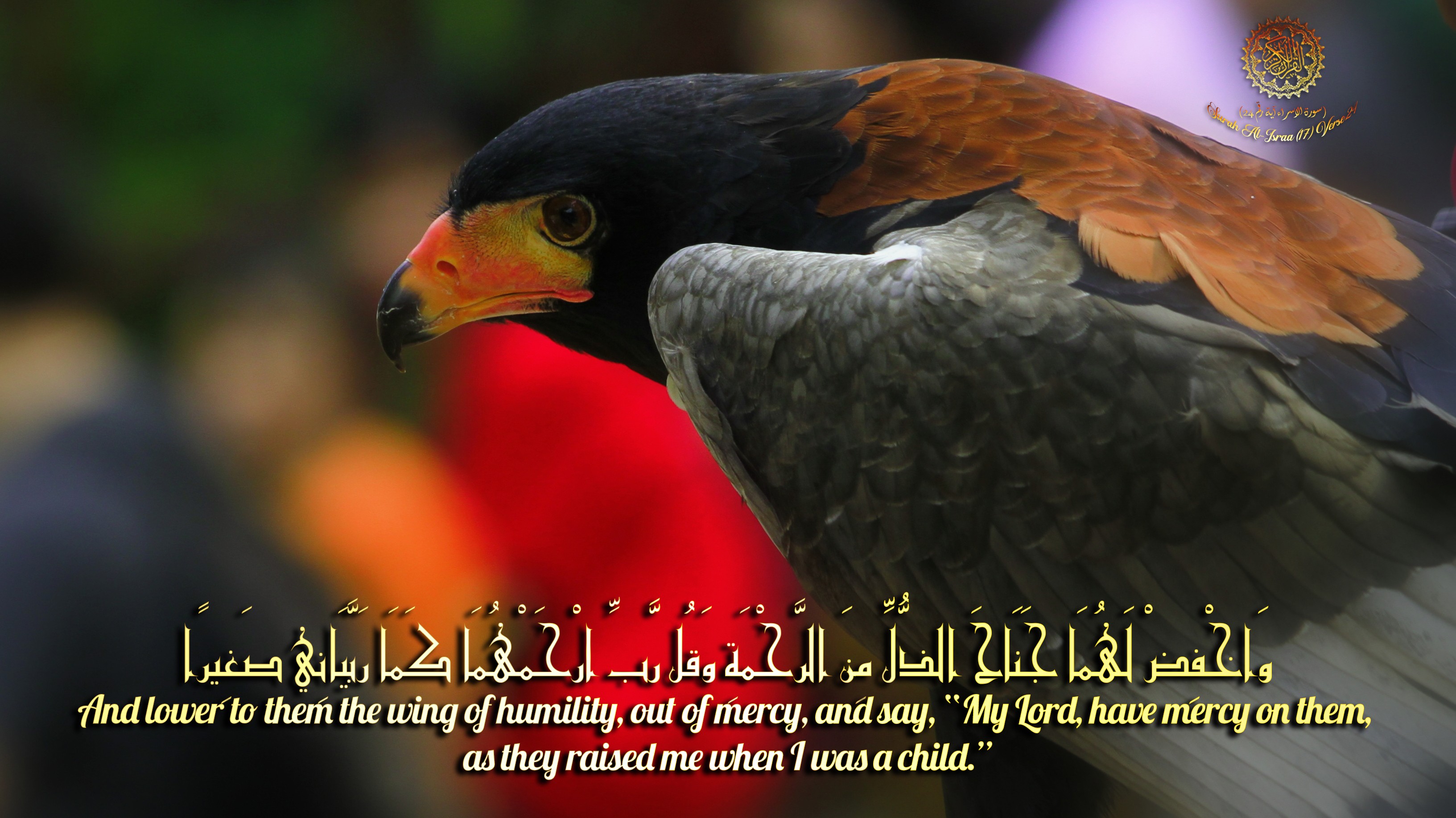 اضغط على الصورة لعرض أكبر.&nbsp;

الإسم:	akhfed lahoma.jpg&nbsp;
مشاهدات:	257&nbsp;
الحجم:	811.2 كيلوبايت&nbsp;
الهوية:	839439